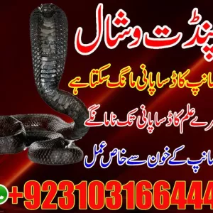 Famous amil baba Kaly ilm walay babaFamous amil baba