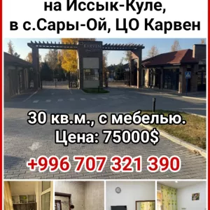 Продается 1 комн. квартира на Иссык-Куле,в с.Сары-Ой, ЦО Карвен