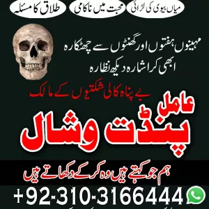 Black Magic Amilbaba Visa & Business Success Guidance