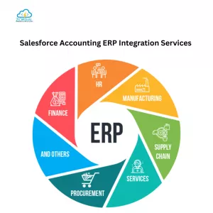 Salesforce Accounting ERP Integration Services | Zordial Technologies