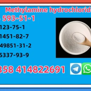 CAS 593-51-1 Methylamine hydrochloride Factory Supply High Purity 100% Safe Delivery