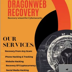How DragonWebRec Works: A Step-by-Step Guide to Reclaiming Your Lost Crypto