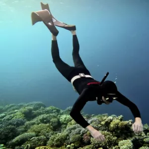 Познай подводный мир — мир фридайвинга!