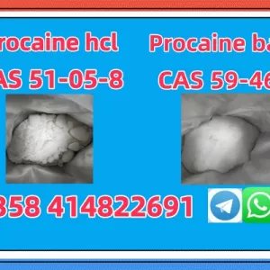 High Purity Cas 59-46-1 Procaine Powder Procaine Base Ship Worldwide