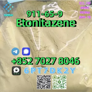 CAS:911-65-9 Etonitazene