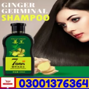 Aichun Beauty Hair Oil + Shampoo Pack Price in Pakistan ~ 03001376364 ! Same Day