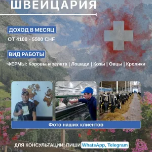 Работа на ферме в Швейцарии