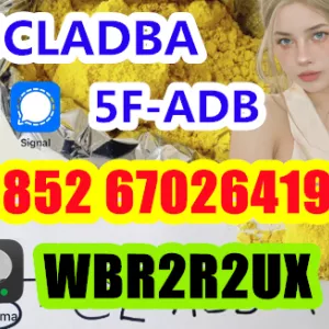 5cladba raw material 5CL-ADB-A precursor raw 5cladba