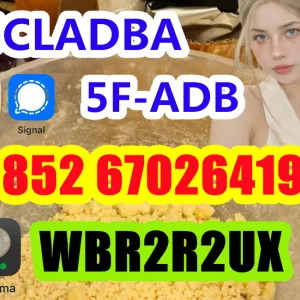 5cladba 5cladb 5cl-adb-a 5cladb 5cl-adb adbb 5cl 5fadb