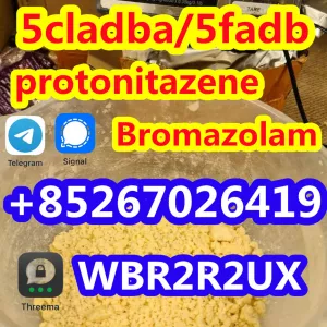 Protonitazene CAS 119276-01-6