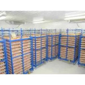 Холодильна камера Тривалого зберігання яєць (встановлення під ключ)