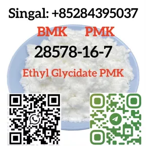 CAS 28578–16–7 PMK ethyl glycidate PMK POWDER BMK