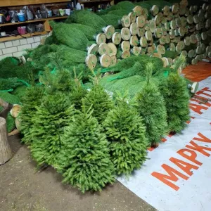 «Ёлочный Базар» - живые елки в Серпухове