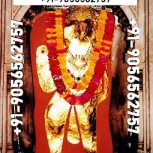 Powerful Love Vashikaran Problem Solution By Baba Ji +91-9056562757