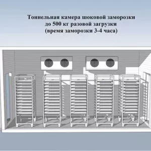 Шокова заморозка ( Установка під ключ) Хлібо булочних виробів