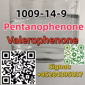 99% purity Pentanophenone Cas 1009-14-9 factory price warehouse Europe NSC 58959