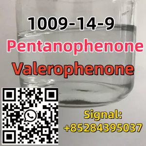 99% purity Pentanophenone Cas 1009-14-9 factory price warehouse Europe NSC 58959