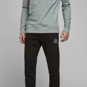 Брюки спортивные Jack & Jones