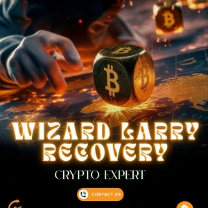 THE BEST BITCOIN,ETH,USDT, RECOVERY EXPERT BY WIZARD LARRY