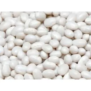 Закупка квасолі. Приймаємо різні сорти на переробку