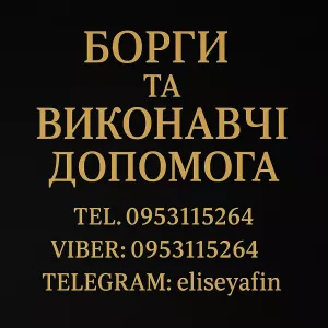 Борги та Виконавчі. Допомога