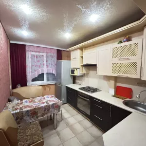 Квартира посуточно в Светлогорске отчетные документы, недорого