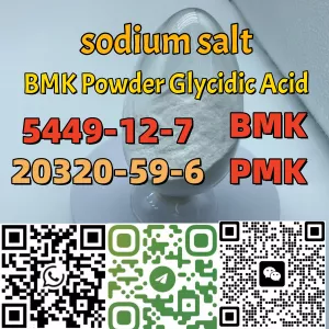 Cas 5449-12-7 New BMK sodium salt stock on sale Europe PMK powder