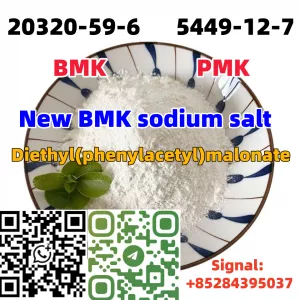 Cas 5449-12-7 New BMK sodium salt stock on sale Europe PMK powder
