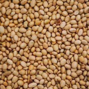 Половинки сої куплю