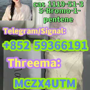 CAS 1119-51-3 5-Bromo-1-pentene 5cl-Precursor in stock