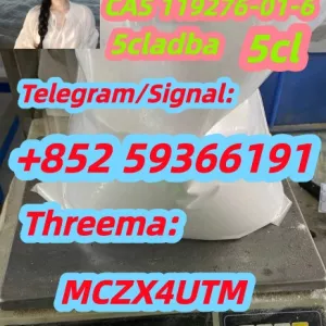 High Quality 119276-01-6 Protonitazene (hydrochloride)