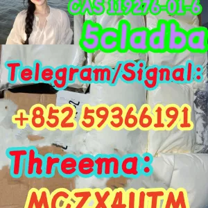 CAS 119276-01-6 Protonitazene