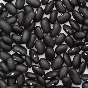 Купити квасолю. Квасоля в наявності. Продаж квасолі.