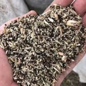 Закуповуємо зерновідходи, некондицію (соняшник, соя, кукурудза, пшениця, ячмінь, просо)