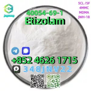 40054-69-1 Etizolam