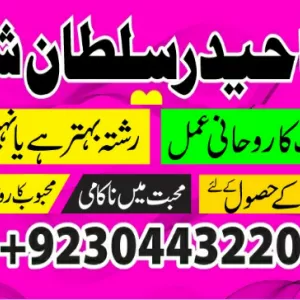 Top Astrologer in London aamil baba uk