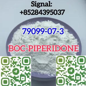 1-Boc-4-Piperidone china supplier CAS 79099-07-3 BOC-PIPERIDONE