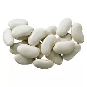 Закупівля квасолі для переробки та консервації