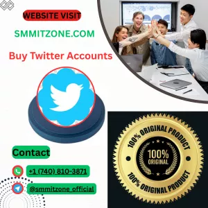 Twitter Accounts as a Powerful Tool for Online Influence