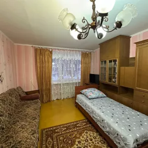 Вилейка. Квартира на сутки с полным пакетом отчетных документов