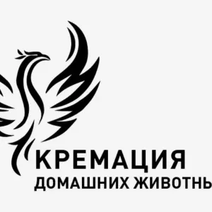 Кремация животных 24/7