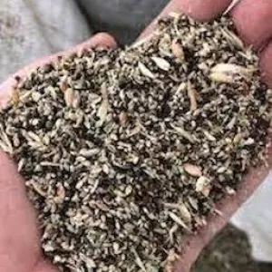 Купуємо некондиційне зерно та зерновідходи