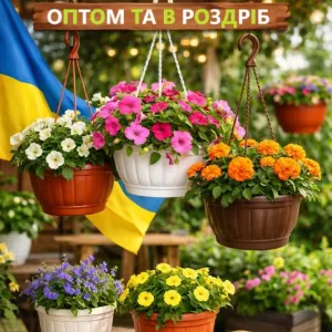 Підвісні горщики для квітів: оптом та в роздріб.