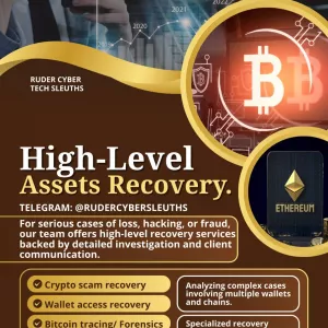 RUDER CYBER TECH SLEUTHS Best Crypto Asset Recovery Service Providers for Hire