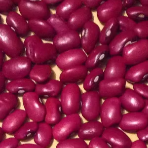 Великий вибір сортової квасолі.