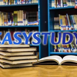 Замовити емпіричну частину магістерської роботи в Україні