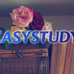 Замовити параграф магістерської роботи в Україні