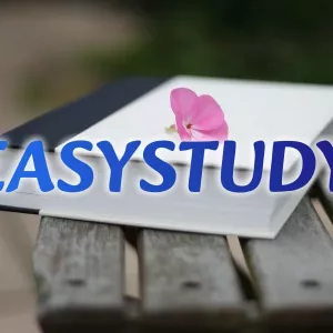 Замовити перевірку магістерської роботи на оригінальність в Україні