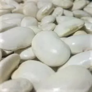 Купуємо квасолю білу та кольорову. Заберемо своїм транспортом